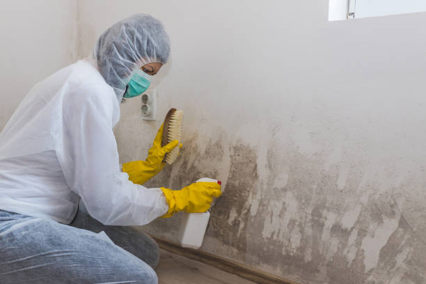 Best Residential Mold Inspection & Testing  in Tobaccoville, NC